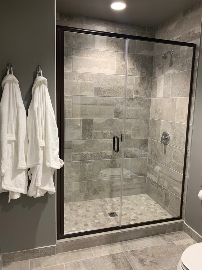 BATHROOM - 1011 W 1st Ave