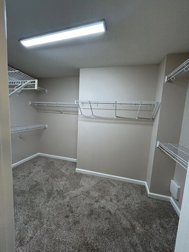 Building Photo - Large 3 bd 2.5 bath with all new paint! Fe...