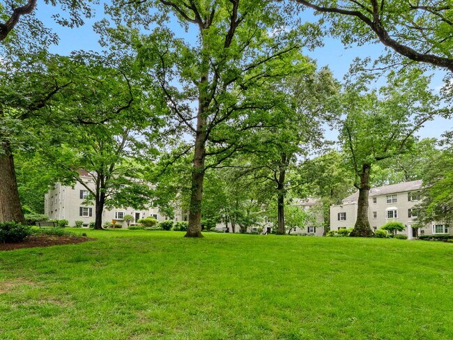 Building Photo - Sought-After fully remodeled Park Glen Condo Living in Arlington!