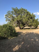Building Photo - 200 Blue Bonnet Dr