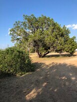 Building Photo - 200 Blue Bonnet Dr