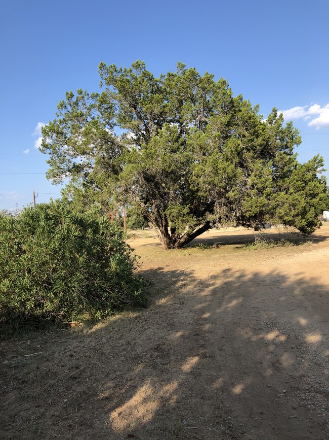 Primary Photo - 200 Blue Bonnet Dr