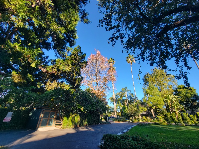 Building Photo - 7258 Allott Ave