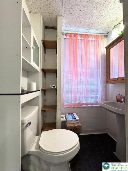 Building Photo - 527 Bradley St