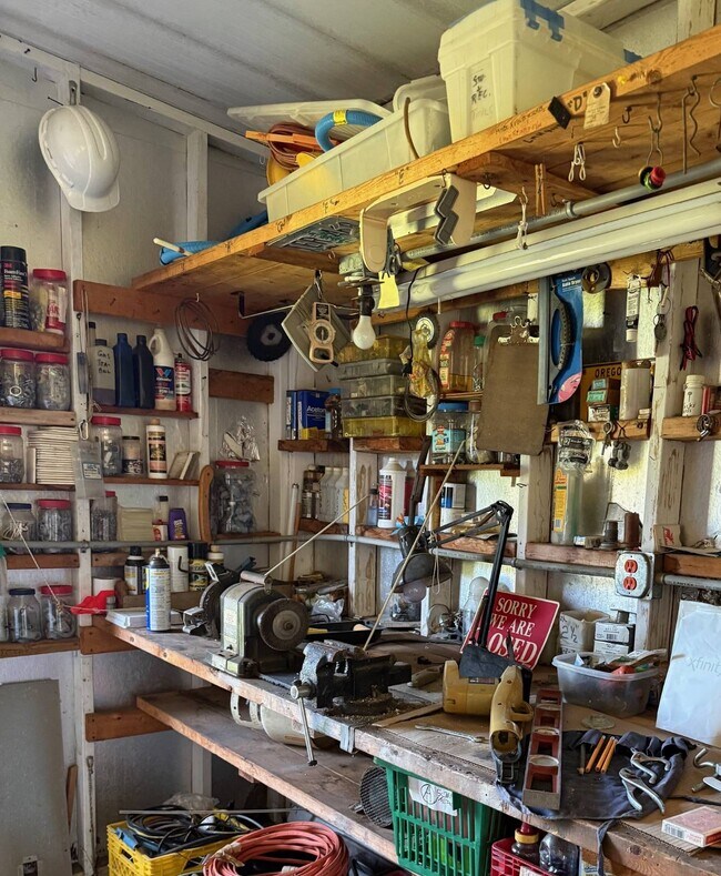 Building Photo - 128 Needle Palm Ln