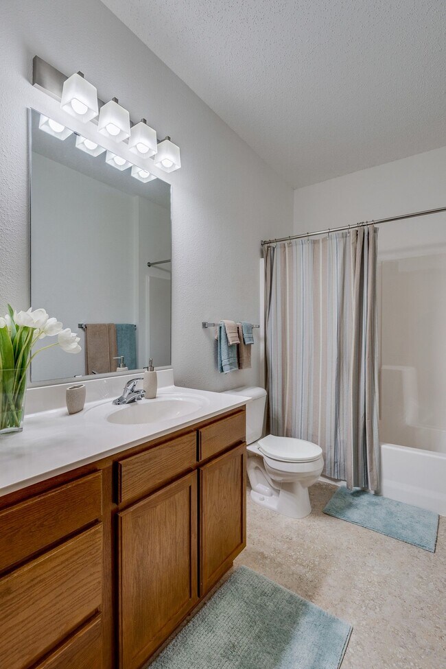 Floorplan - Cloud on Fifth