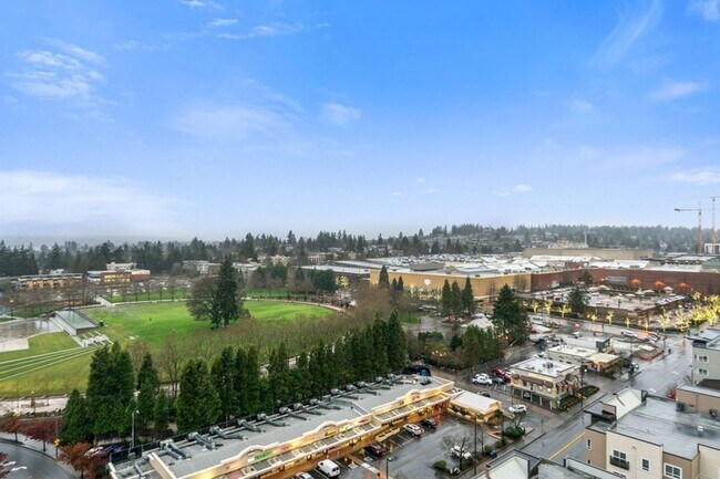 Building Photo - Brand new 16th floor 2bd/2ba home with cit...