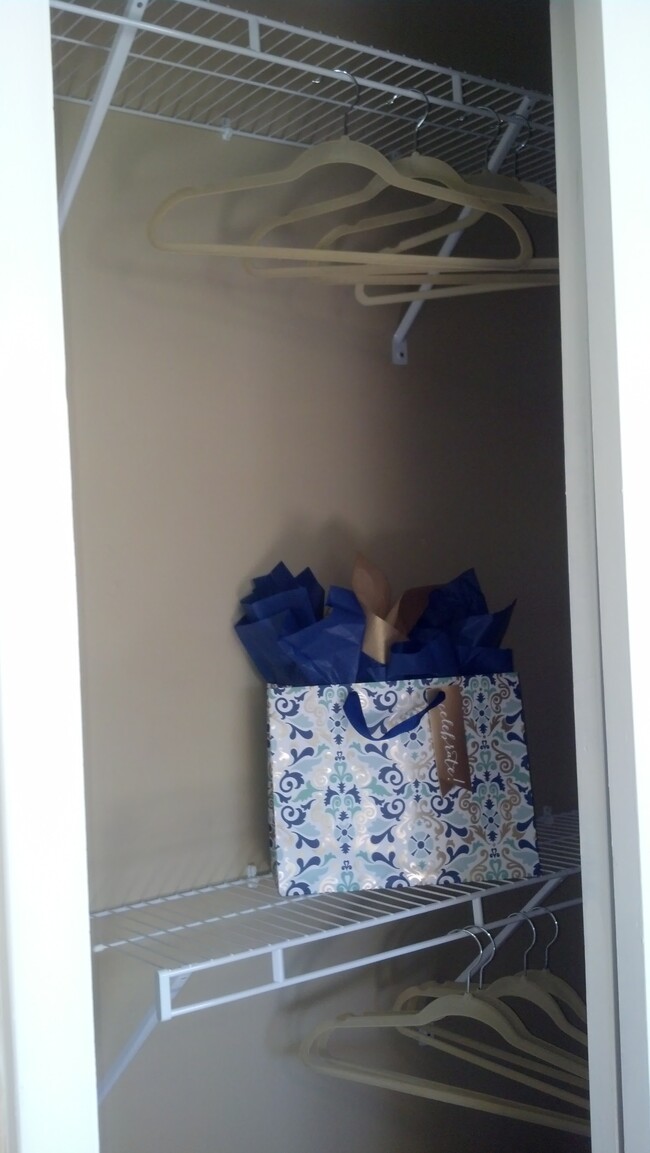 Bedroom 2 Closet - 3919 N Donna Ln