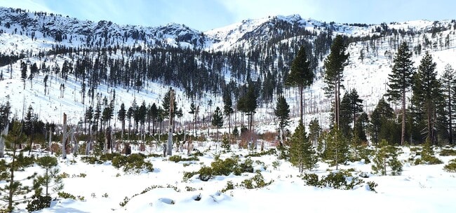 Building Photo - Unfurnished 4 Bed, 2 Bath with Garage.  Amazing Location on Dead-End Street with Forest Access!