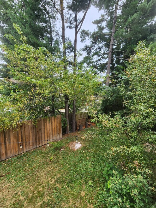 Building Photo - West Asheville Bungalow