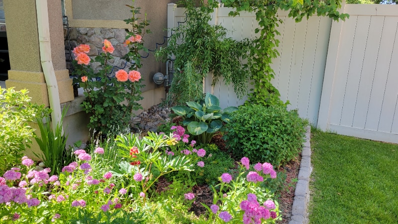 Building Photo - 807 Whisper Cove Rd