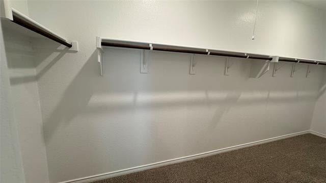 Building Photo - 2424 Palo Pinto Trl