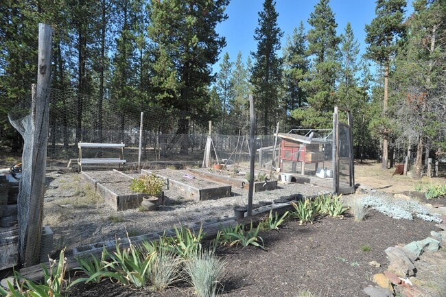 Building Photo - Charming A-Frame Home on 1 Acre