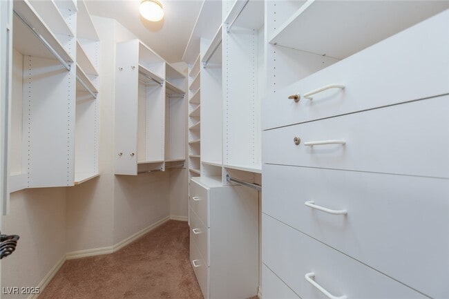 Building Photo - 808 Dana Hills Ct