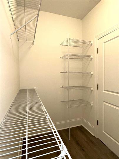 Building Photo - 1102 Cavil Hollins Ct