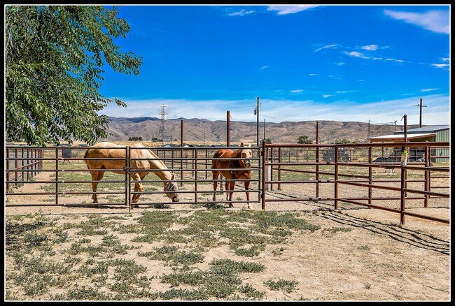 Building Photo - 3 Acre Horse Ranch & Home Rental SE Boise ...