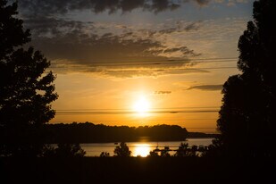 Building Photo - 16015 Kelly Park Cir