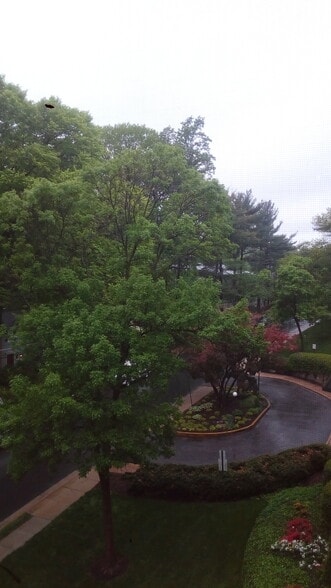 View from bedroom windows - 8601 Manchester Rd