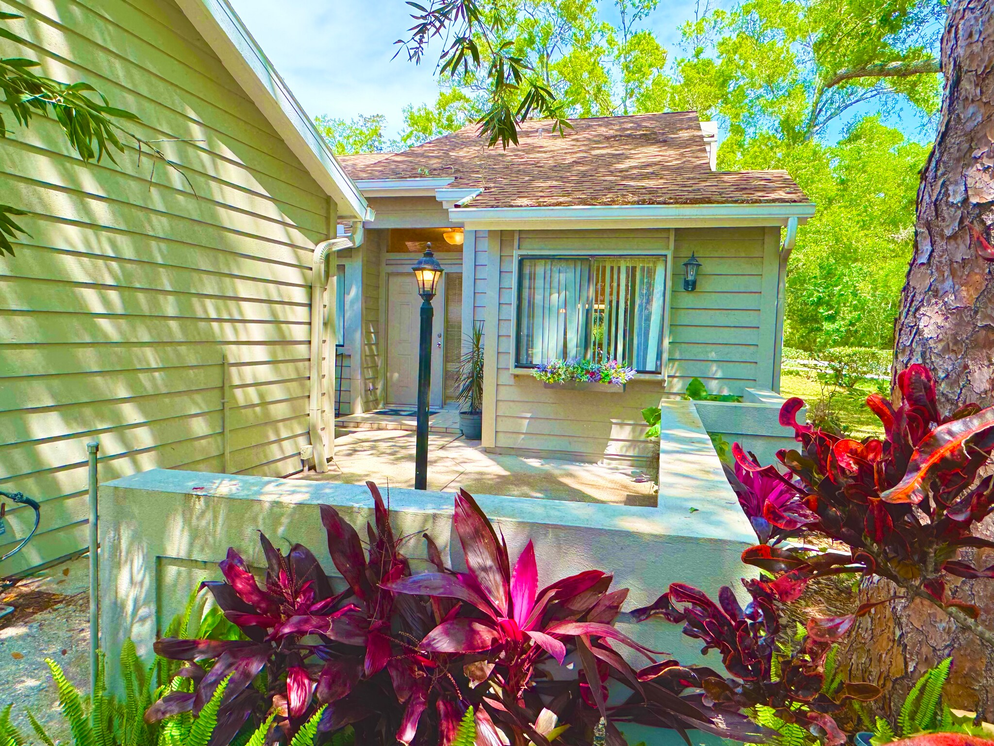 Building Photo - 4399 Brooker Creek Dr