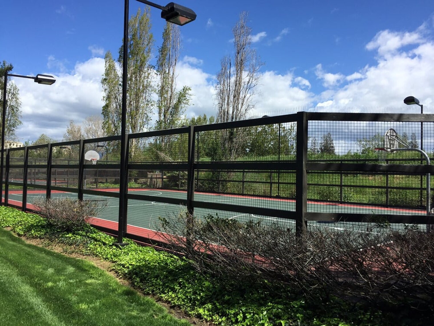 Building Photo - 590 Mill Creek Ln