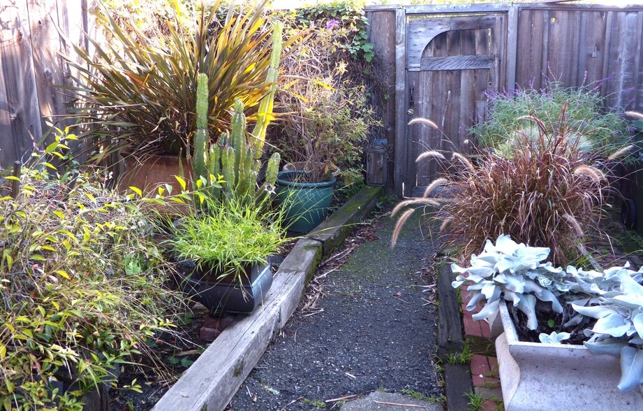 front yard for entering or leaving - 913 Camelia St