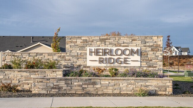 Building Photo - Immaculate Single-Level Home