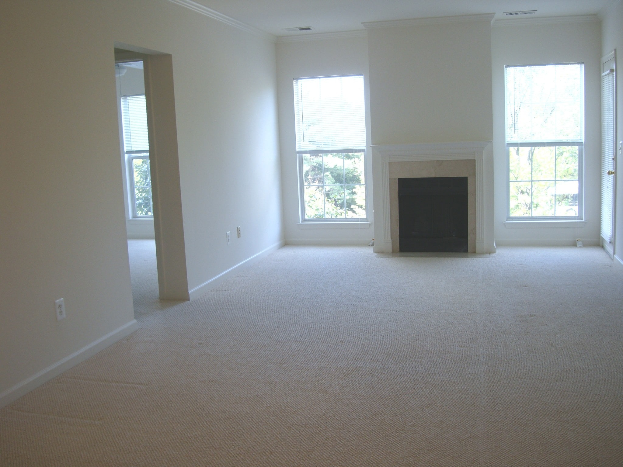 Living Room - 7000 Falls Reach Dr