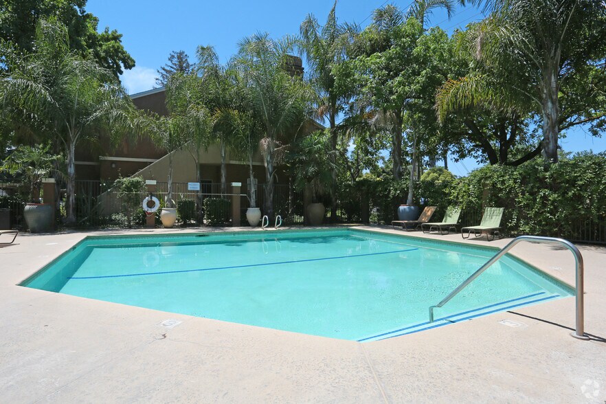 Primary Photo - Willow Grove