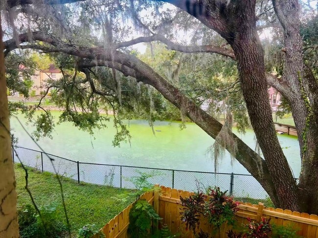 Building Photo - Nice 2bed and 1.5 bath townhouse near USF
