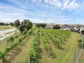 Building Photo - 16710 Lilo Dr