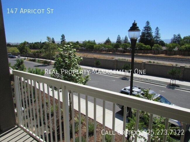 Building Photo - 147 Apricot St