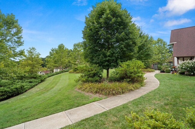 Building Photo - Spacious, Beautiful East Asheville Home