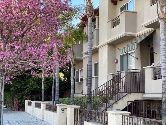 Primary Photo - 4904 Laurel Canyon Blvd