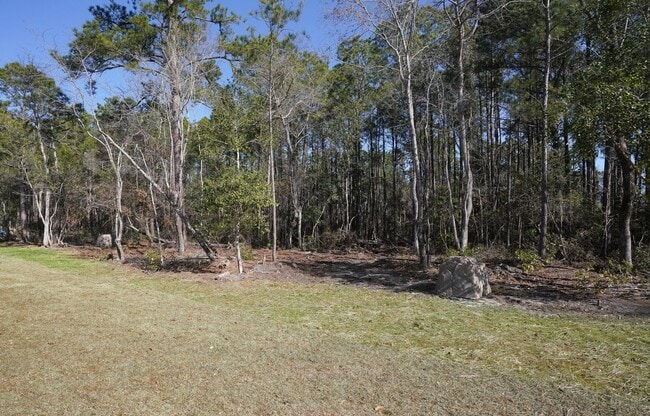 Building Photo - Beautiful  3 bed 2 bath Home in Hampstead