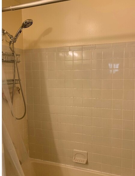 Walk-in bathroom - 1012 Ravens Crest Dr