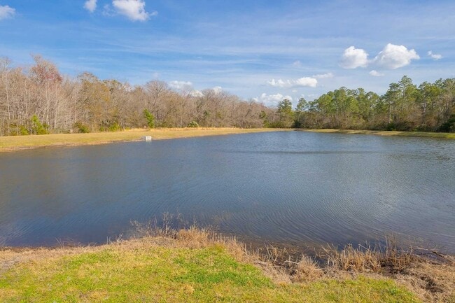 Building Photo - 951 Orellana Rd