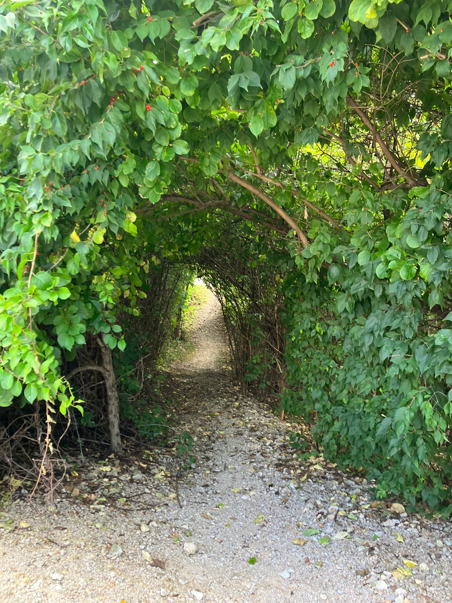 Rock island trail entrance - 5601 N Humboldt Ave
