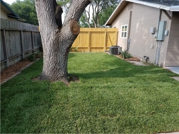 Enclosed Backyard - 4115 Robinhood Dr