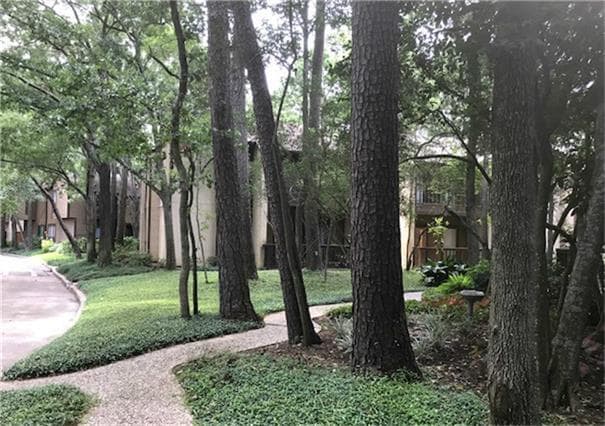 Building Photo - 11711 Memorial Dr