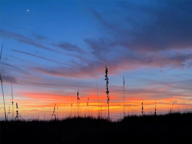 Building Photo - 3810 Gulf of Mexico Dr