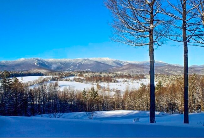 Building Photo - 458 Cider Mountain Rd