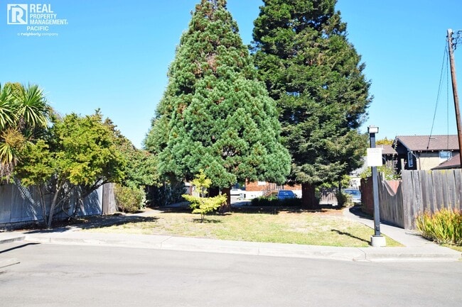 Building Photo - Cozy 3 Bedroom Near 4th Street - Ready to move in!