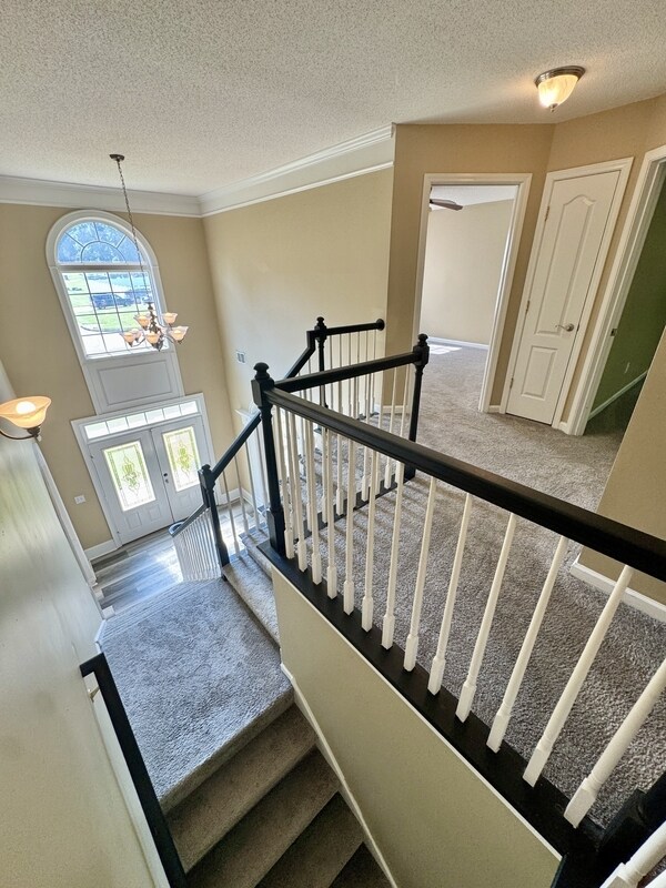 Building Photo - 431 Whitewater Tr