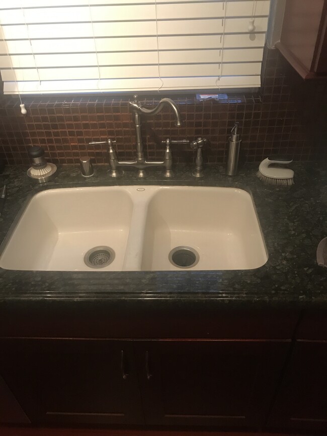 Elegant kitchen faucet with sprayer. - 1857 Pandora Ave