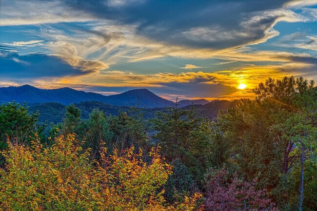 Building Photo - 1816 Bear Spgs Wy