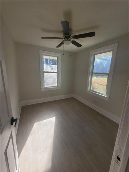 Building Photo - 2007 Palmetto Ave