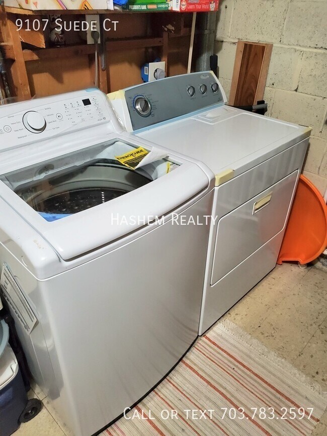 Building Photo - Spacious 1 Bedroom Basement Rental with Pr...