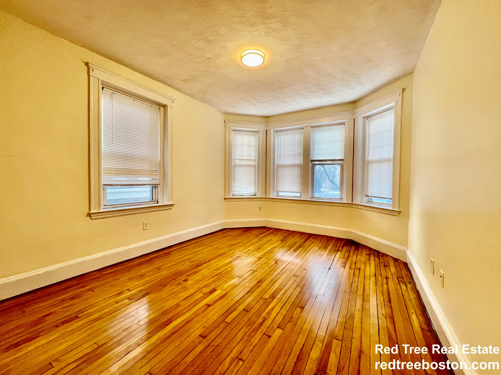 Building Photo - 69 Babcock St