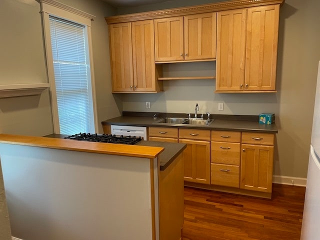 Kitchen - 916 Laurel Ave