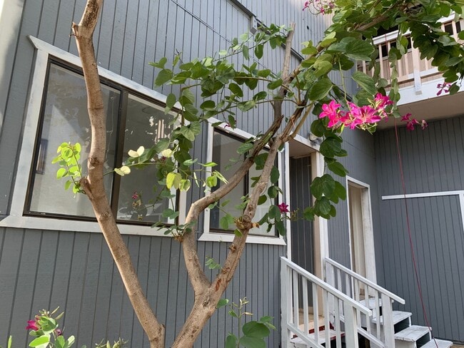 Building Photo - 2 bedroom 1.5 bathroom Ohana, across the street from the beach and park!